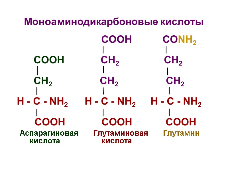 Моноаминодикарбоновые кислоты            